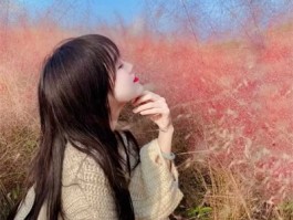小清新头像森系二次元(森系二次元小清新风)