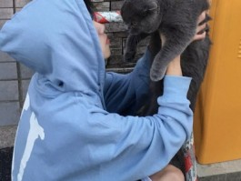 有趣头像男生专用(男生专用趣味头像设计)