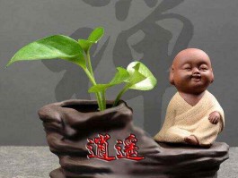佛系正能量句子(佛系正能量语录)