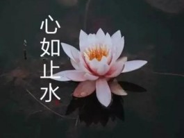 <strong>微信</strong>头像图片佛系唯美(佛系唯美<strong>微信</strong>头像)