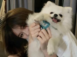 反派身边总有个萌系小可爱快穿(萌系小可爱助反派快穿)